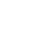 Regulatory Expertise